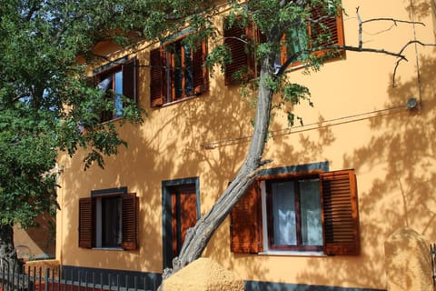 Property building, Day