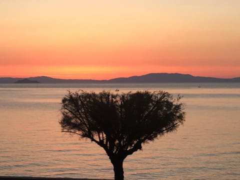 Sea view