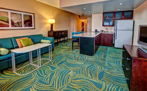 SpringHill Suites Norfolk Old Dominion University Hotel in Portsmouth