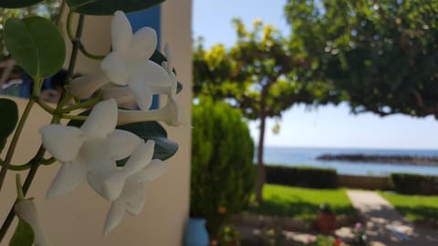 Apolloneia Apartments Apartment in Crete