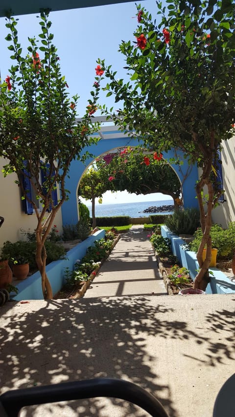 Apolloneia Apartments Apartment in Crete