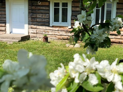 Facade/entrance, Garden