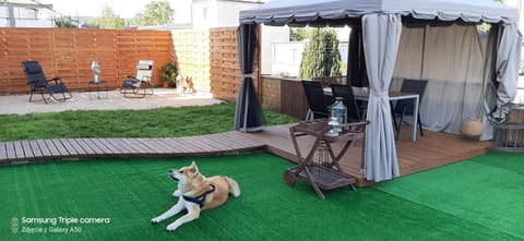 Balcony/Terrace, Balcony/Terrace