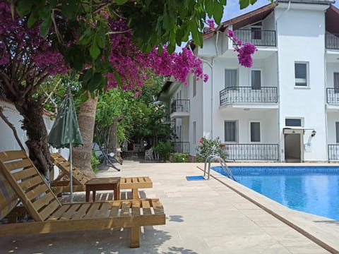 Property building, Patio, Spring, Day, Garden, Garden view, Pool view, Swimming pool, sunbed