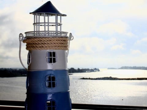 Ostseefjord-Schlei-Blick im Wikingturm Apartment in Schleswig