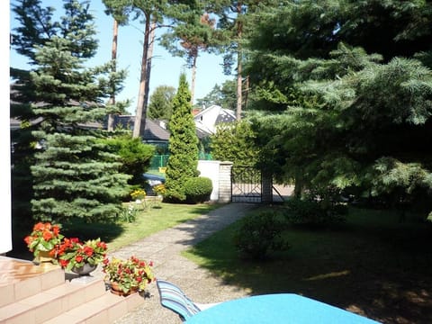 Day, Natural landscape, Garden, Garden view