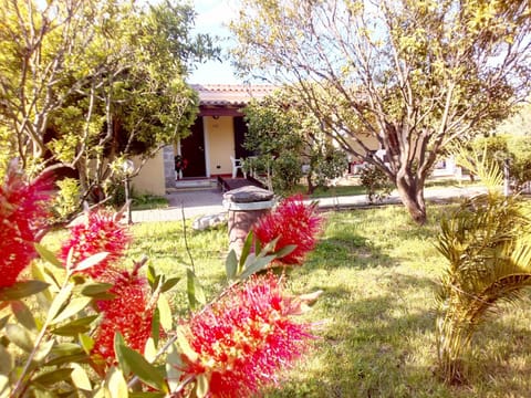 Spring, Natural landscape, Summer, Garden, Garden, Autumn, Garden view
