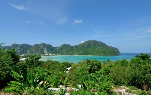 Day, Natural landscape