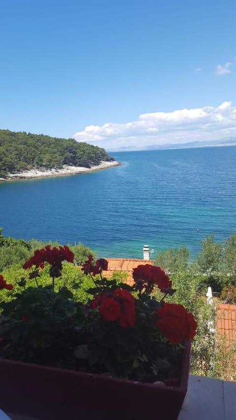 Apartment Petricic Apartment in Split-Dalmatia County