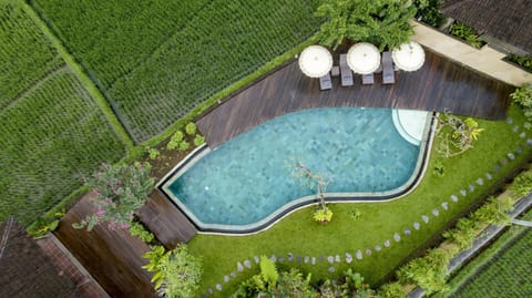 Day, Neighbourhood, Natural landscape, Swimming pool, sunbed