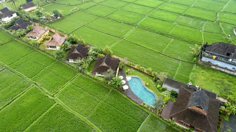 Neighbourhood, Natural landscape, Bird's eye view