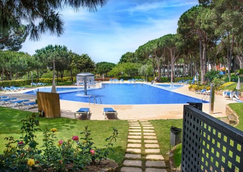 Day, Garden, Swimming pool