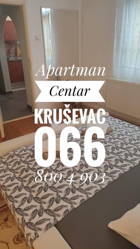 Apartman Centar Apartment in Serbia