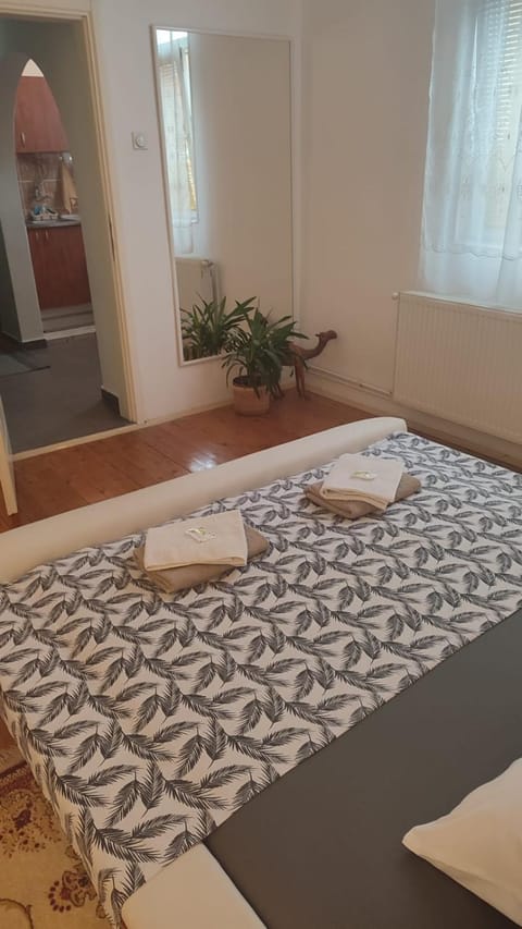 Apartman Centar Apartment in Serbia