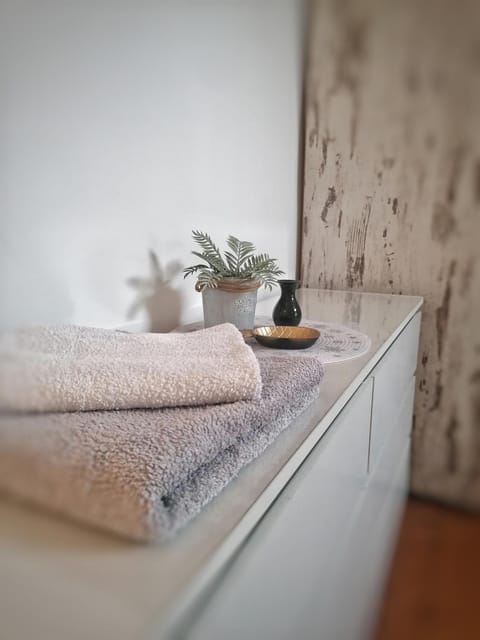 Apartman Centar Apartment in Serbia