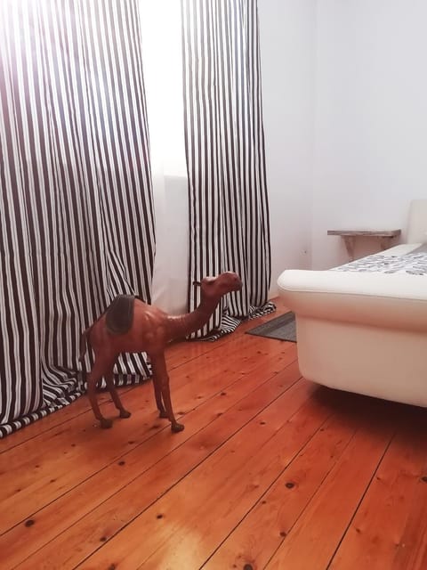 Apartman Centar Apartment in Serbia