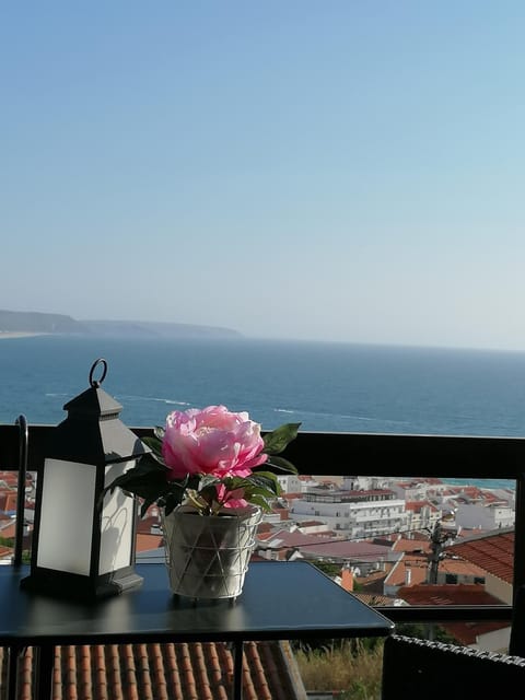 Communal lounge/ TV room, Balcony/Terrace, Sea view