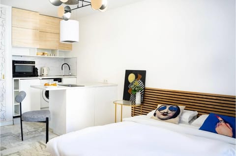 Bed, TV and multimedia, Kitchen or kitchenette, Photo of the whole room, Bedroom, minibar, oven, pet friendly, stove