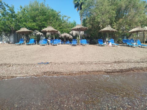 Beach, Sea view, sunbed