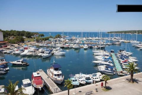 Neighbourhood, Sea view
