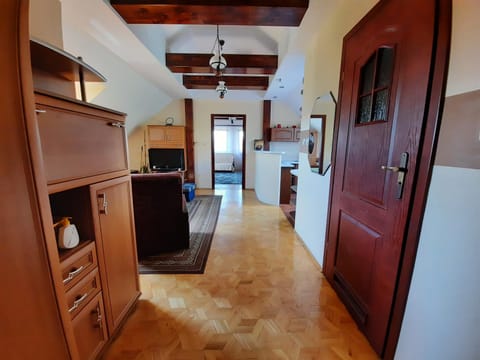 Kitchen or kitchenette, Living room, Photo of the whole room, Decorative detail