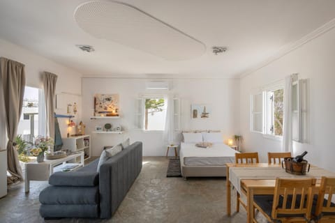 Studio Home Apartment in Naousa