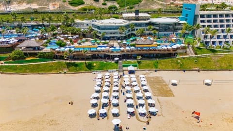 Bird's eye view, Sea view, sunbed