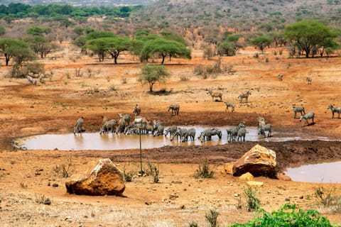 Natural landscape