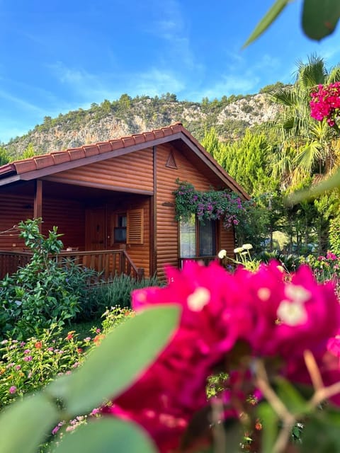 Natural landscape, Garden view, Mountain view