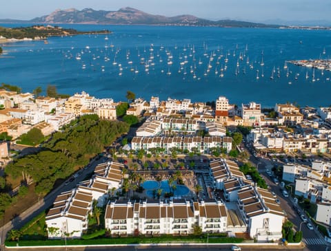 Day, Bird's eye view
