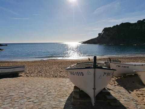 Beach, Landmark view