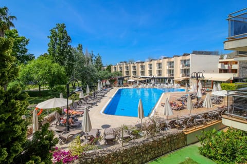 Pool view, Swimming pool