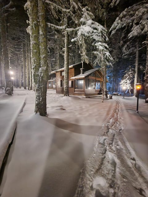 Night, Winter