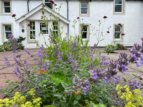 Patio, Facade/entrance, Garden