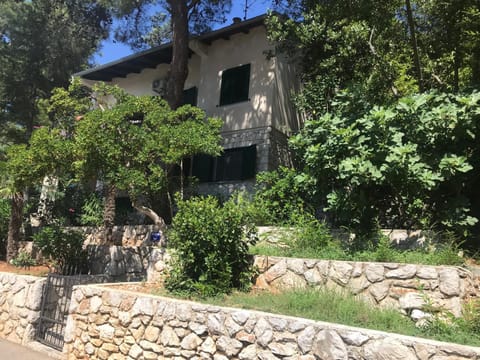 Property building, Facade/entrance, Garden