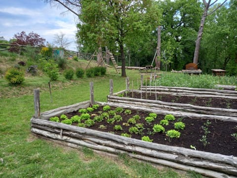 Agriturismo Riparossa Farm Stay in Umbria