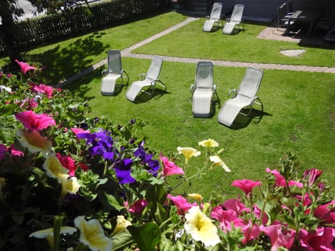 Garden, Garden view, Garden view