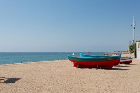 Neighbourhood, Natural landscape, Beach