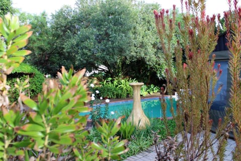 Garden, Garden view, Pool view, Swimming pool