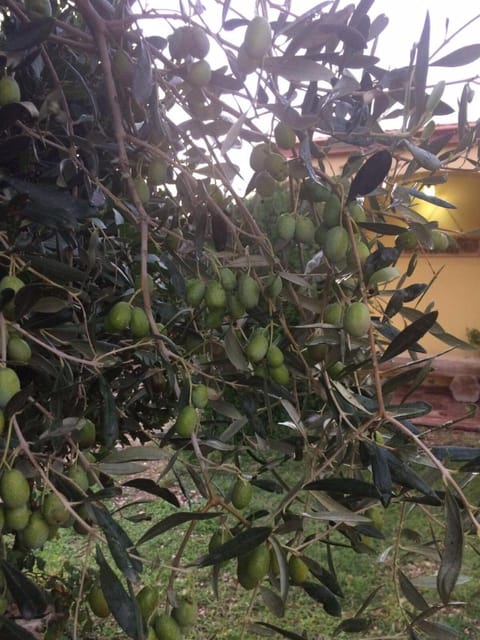 Day, View (from property/room), Autumn