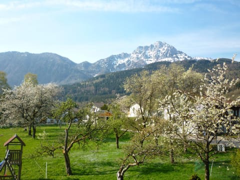 Garden view, Mountain view