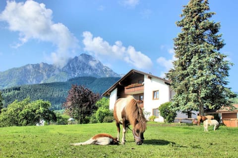 Gästehaus Binder Bed and Breakfast in Berchtesgadener Land