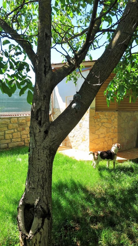 Apartments Rukavina Apartment in Monterol