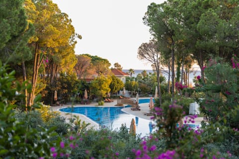 Pool view, Swimming pool