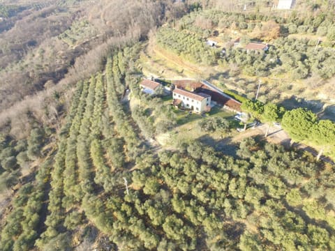 Property building, Natural landscape, Bird's eye view