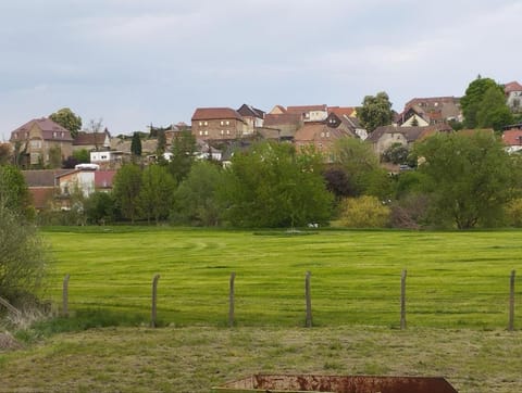 Natural landscape