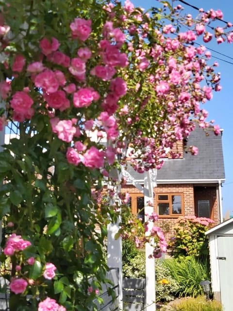 Property building, Facade/entrance, Garden