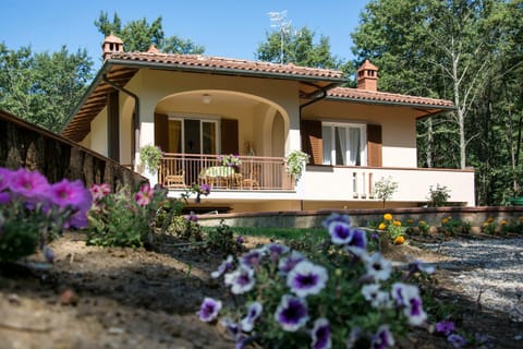 Property building, Spring