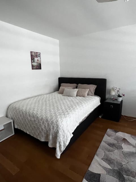 Apartments in Bern - Green Relax Apartment in City of Bern