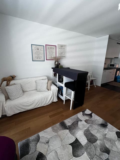 Apartments in Bern - Green Relax Apartment in City of Bern